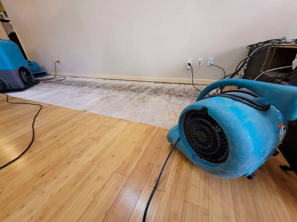 Professional Sewage Cleanup technician working in Inverness, FL